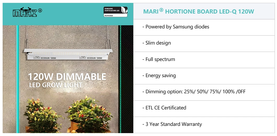 Hortione Quantum Board 120W LED Plant Light Full Spectrum Efficacy 2.7 Umol/J 3-Year Warranty for Grow Tent Smart Controller Rj11