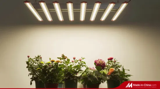 Planta de barra regulável Sepctrum completa 1000W LED cresce a luz para iluminação de estufa de horticultura