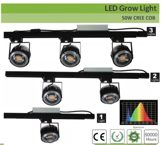 Fábrica 50W 100W Crees COB Cxb3590 LED cresce a luz 3000K espectro completo para plantas com efeito de estufa LED cresce a luz